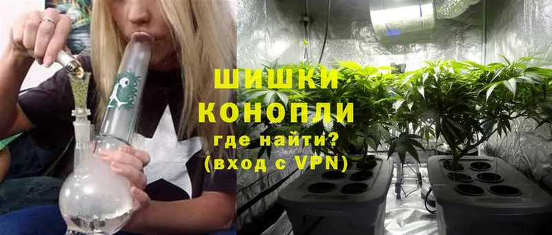 Бошки марихуана White Widow  хочу наркоту  МЕГА   Жердевка 